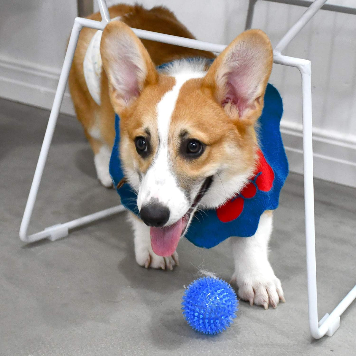 Safe non-toxic rubber dog balls for indoor and outdoor fetch