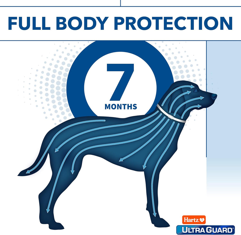 Dog wearing Hartz UltraGuard Reflecting collar for safety