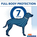 Dog wearing Hartz UltraGuard Reflecting collar for safety