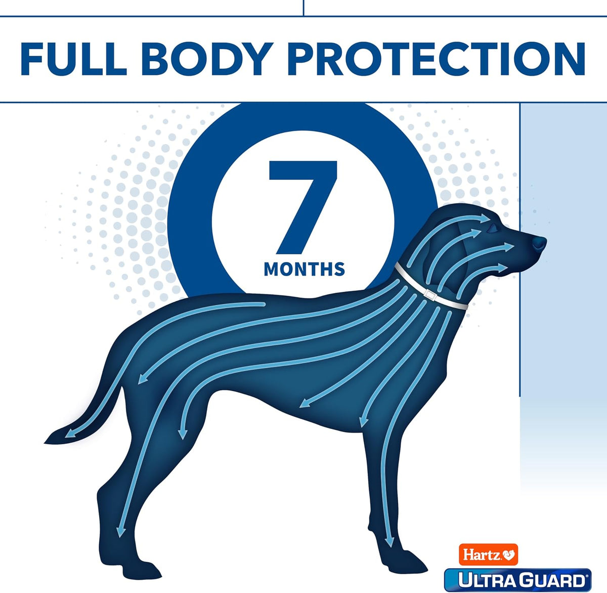 Dog wearing Hartz UltraGuard Reflecting collar for safety