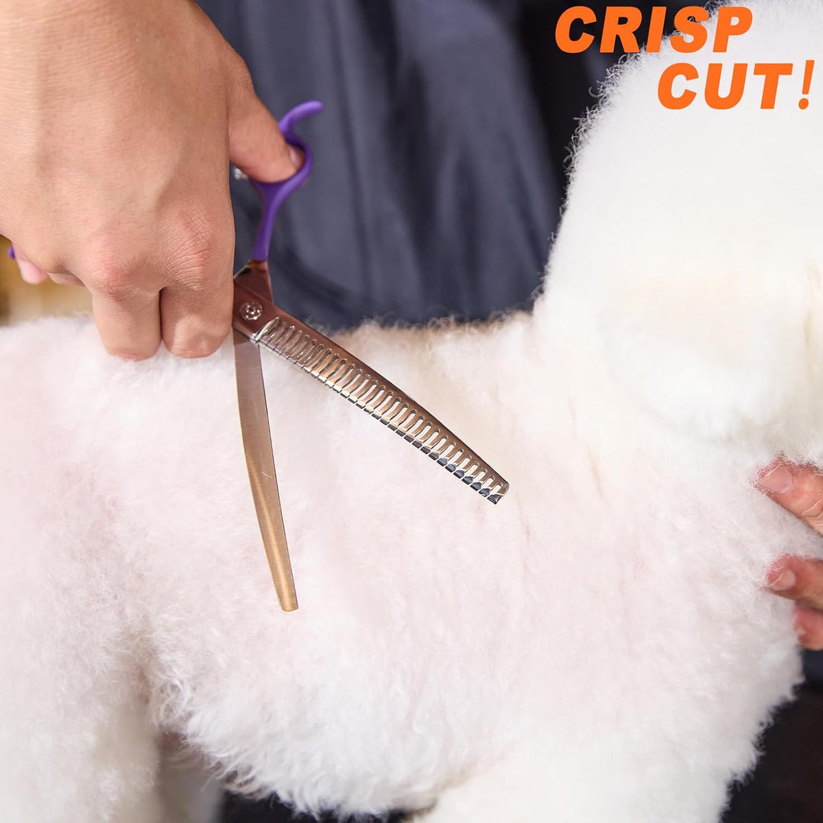 Fengliren high end professional dog grooming scissors packaged securely inside a sturdy pet supply storage box.