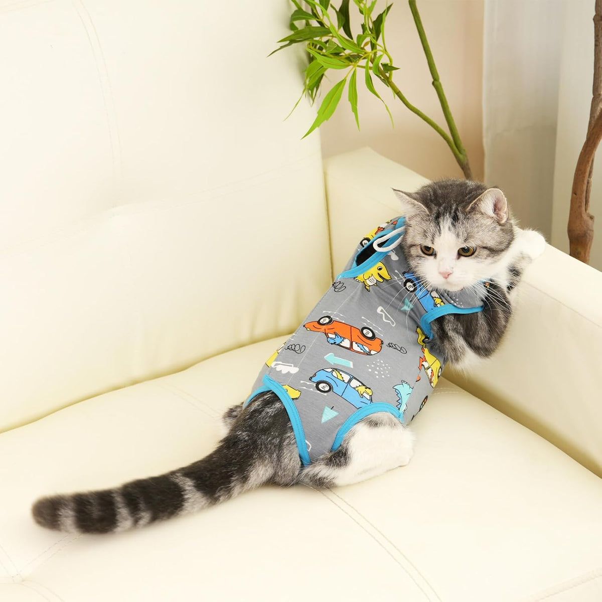 Side profile of cat in comfortable recovery bodysuit