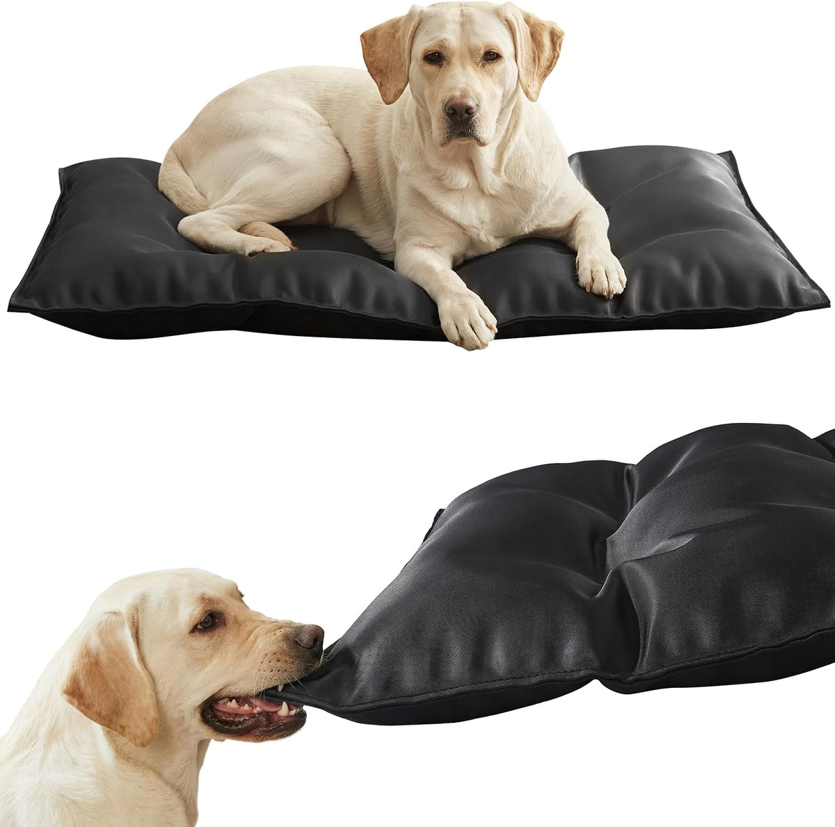 WooPetty chew proof dog bed crate pad front view