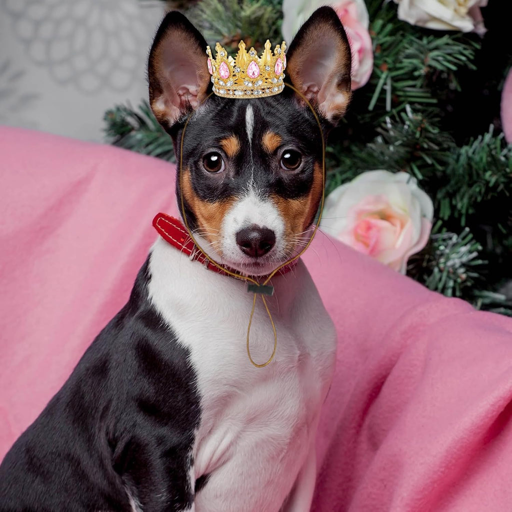Cat wearing the Abbylike pink king crown during a holiday costume celebration