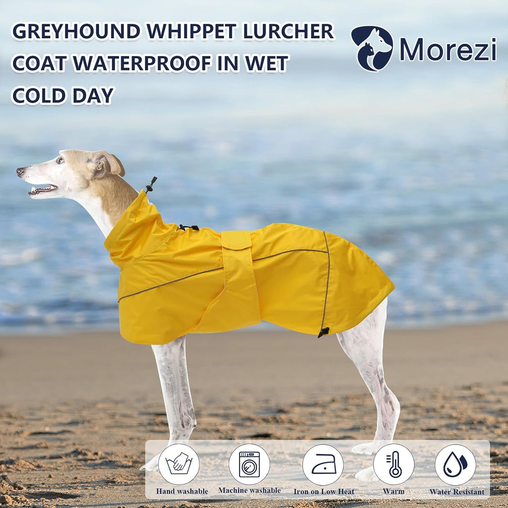 Morezi Whippet rain gear showcasing the adjustable belly bands and drawstring collar.