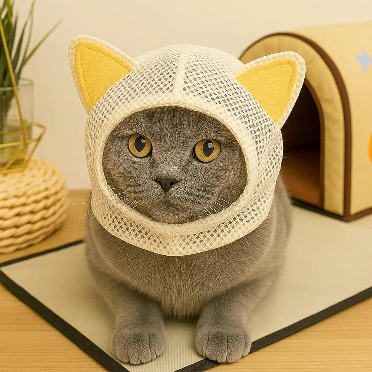 Adjustable belt mechanism on the protective feline recovery hood.