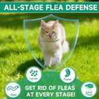 4 individual Weallin flea collars inside retail packaging