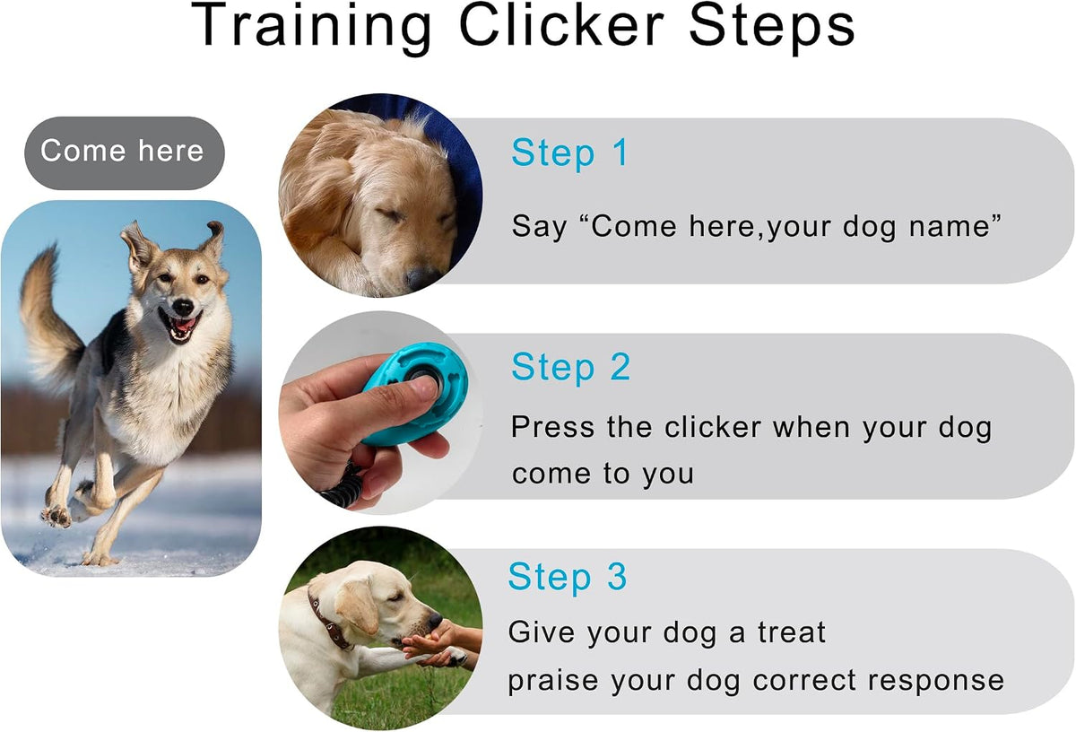 Humane sound based pet training device for positive reinforcement.