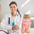 Avont surgical cat suit back view showing litter box friendly opening