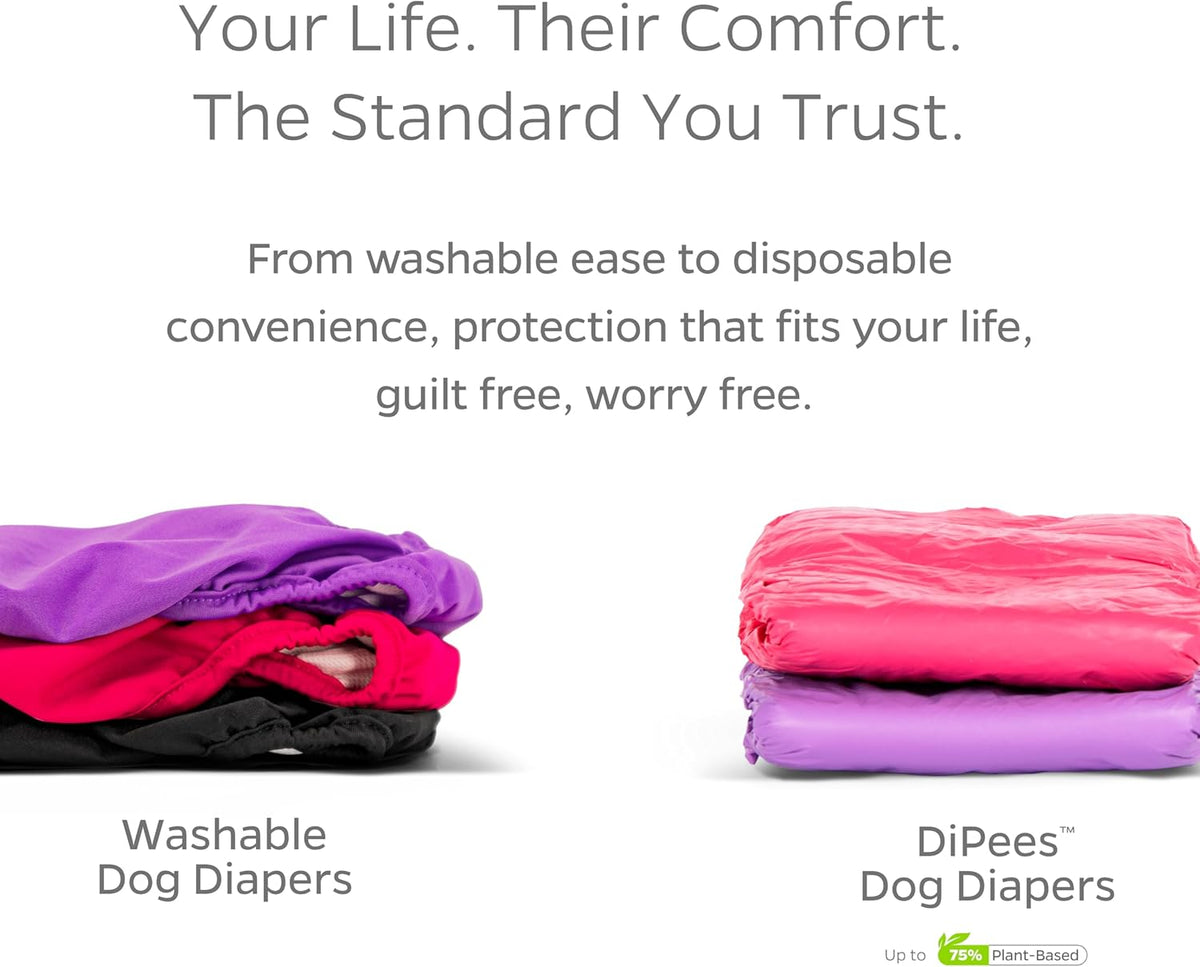 USA imported high quality female pet diapers for home housebreaking training