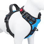 Adjustable straps on medium size dog safety vest