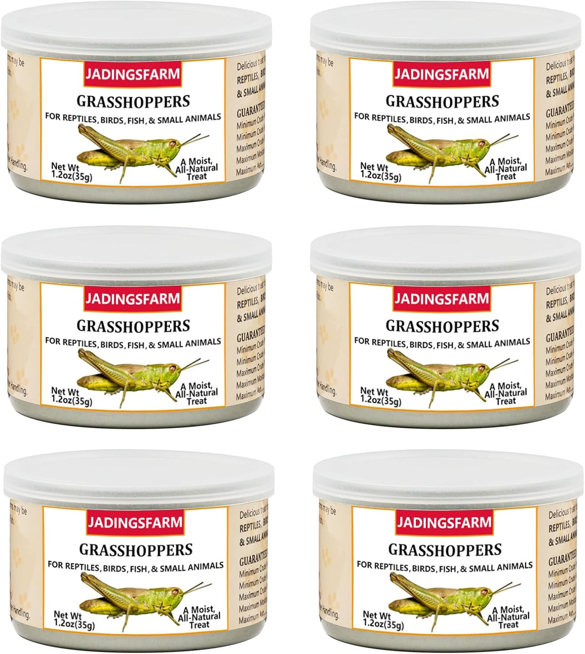 6 Pack Canned Crickets for Reptiles, Fish, Birds and Small Animals, Crickets, Healthy High Protein Treat, Reptile Bird Fish Food 7.2 Ounces Total - Image 13