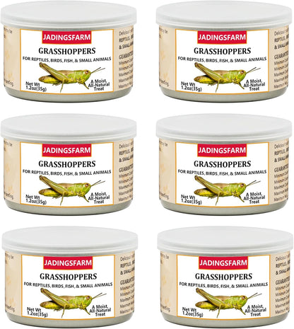 6 Pack Canned Crickets for Reptiles, Fish, Birds and Small Animals, Crickets, Healthy High Protein Treat, Reptile Bird Fish Food 7.2 Ounces Total - Image 13