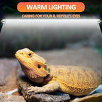 Desert terrarium setup featuring a high output ultraviolet light bulb over a basking dragon.
