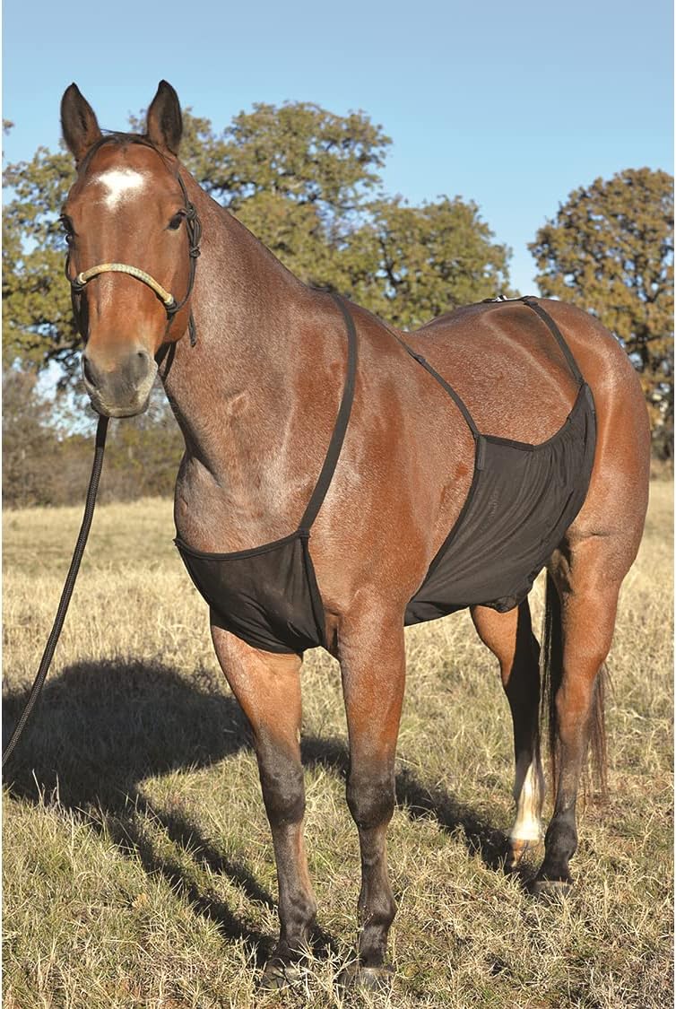 Cashel horse underbelly mesh shield showing adjustable straps close up view