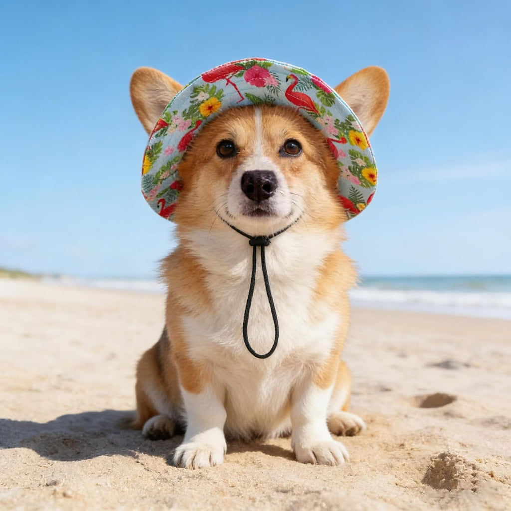 Dog hat flat lay showcasing round brim design