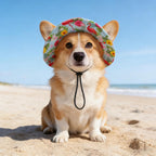 Dog hat flat lay showcasing round brim design