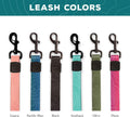 Close up view of the swiveling zinc quick clip on a green waterproof dog lead