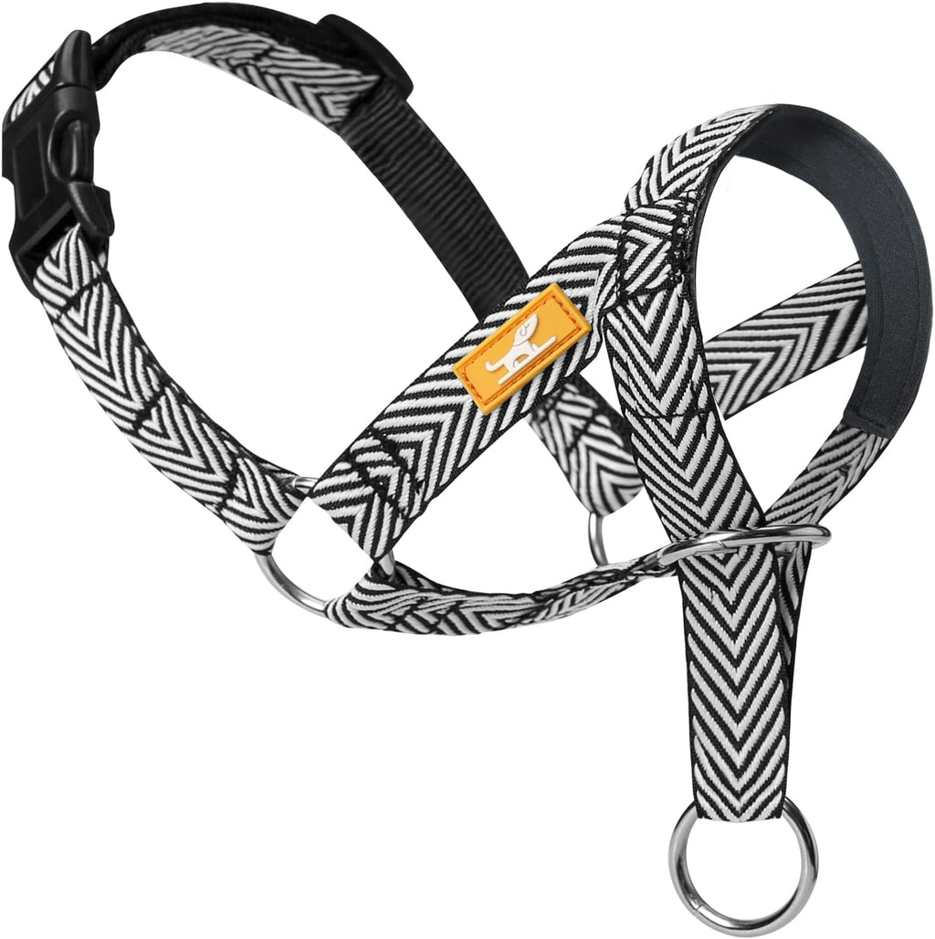 Wintchuk gentle dog head collar black front view showing padded nose loop