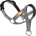 Wintchuk gentle dog head collar black front view showing padded nose loop