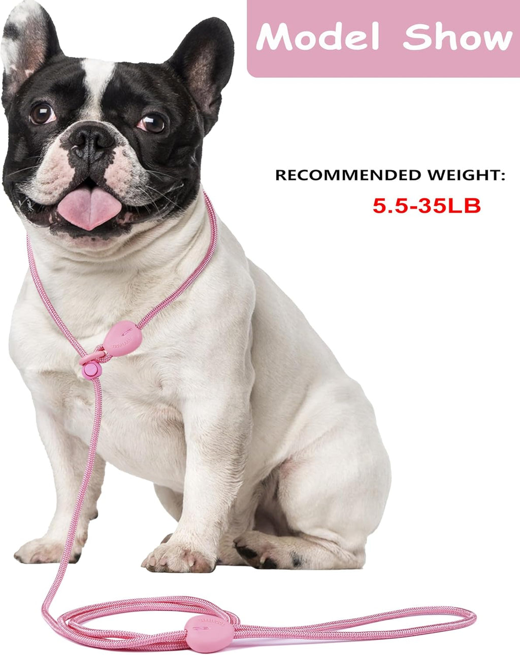 Tochibabe six foot heavy duty slip lead showing the adjustable leather stopper detail.