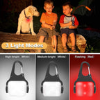 Three pack of rechargeable LED safety lights with carabiner attachments and USB cables.