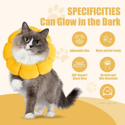 HOMBYS plush recovery collar demonstrating how a pet can eat and drink normally.