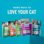 Stress relief cat treats by VetIQ with melatonin on a plain background for product authenticity