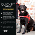 EzyDog Quick Fit dog harness medium black front view