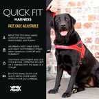 EzyDog Quick Fit dog harness medium black front view