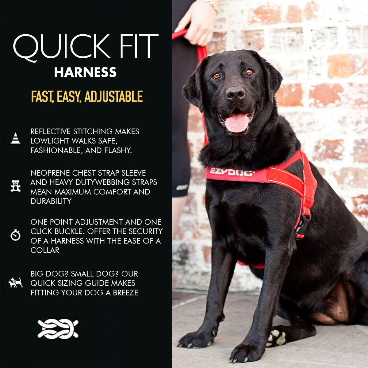 EzyDog Quick Fit dog harness medium black front view