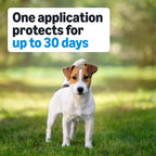 Authentic USA imported dog tick and flea medicine application guide