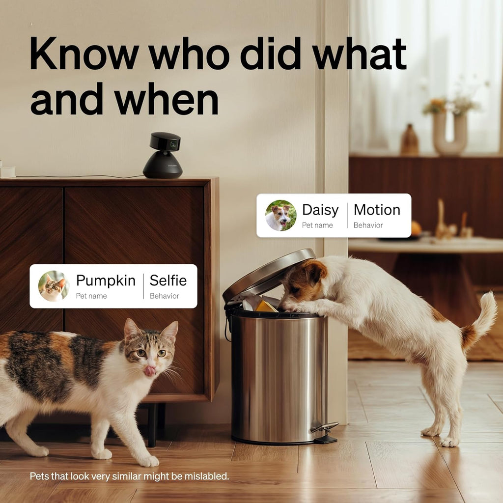 Petlibro indoor dog camera monitoring pets in a living room