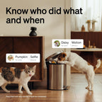 Petlibro indoor dog camera monitoring pets in a living room