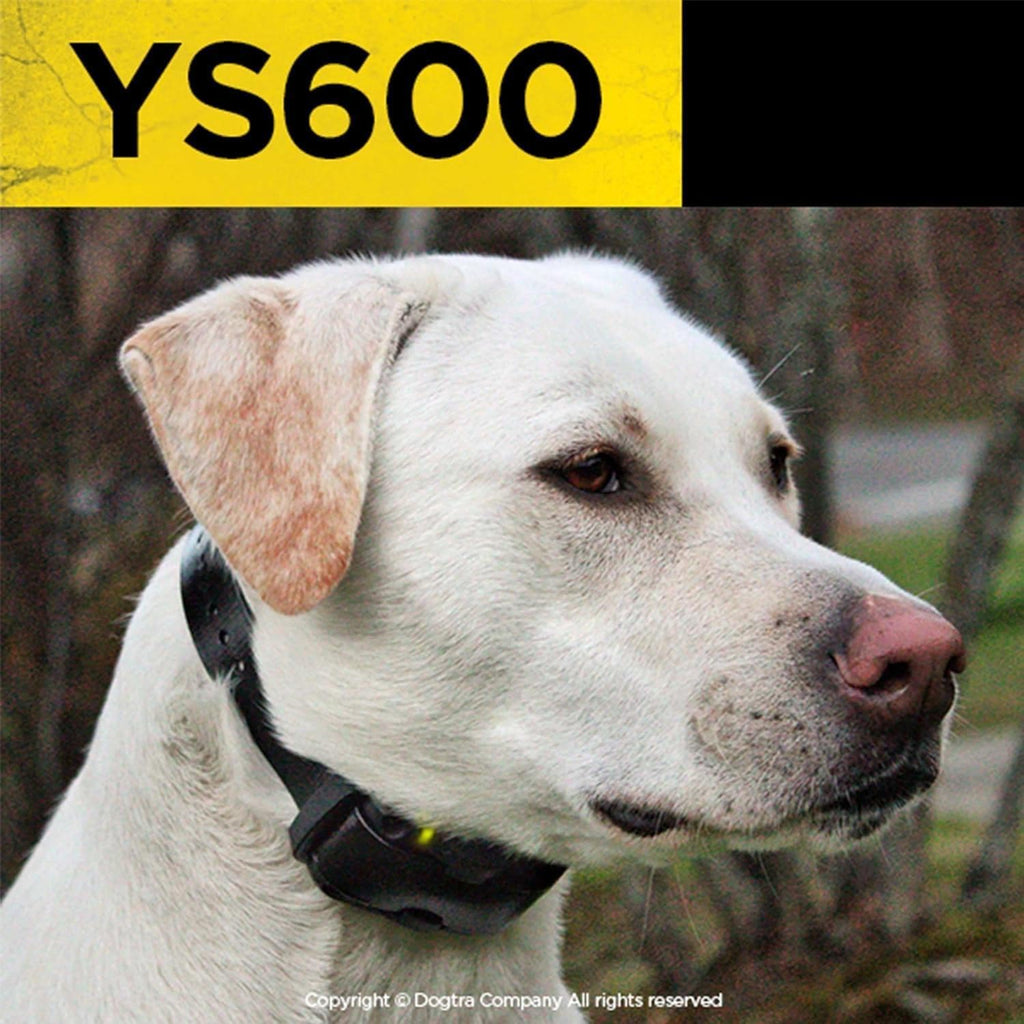 High performance pager vibration mode indicator on Dogtra YS600