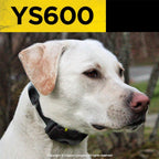 High performance pager vibration mode indicator on Dogtra YS600