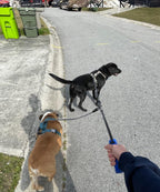 High density nylon double pet leash extension details with rubber covers