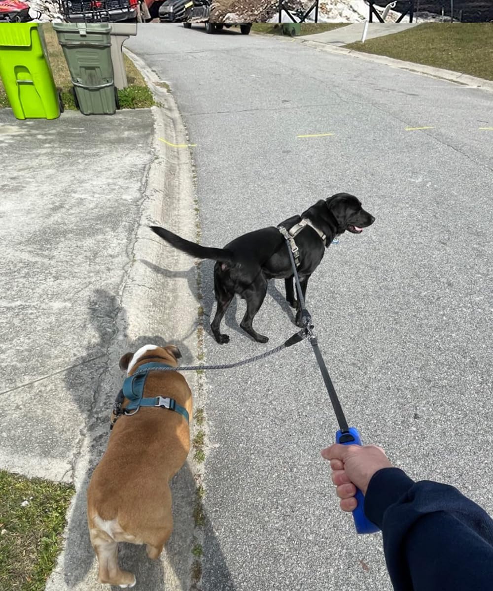 High density nylon double pet leash extension details with rubber covers