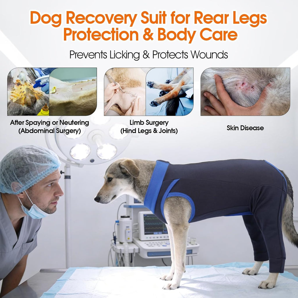 Dog wearing navy blue LeLePet recovery suit indoors