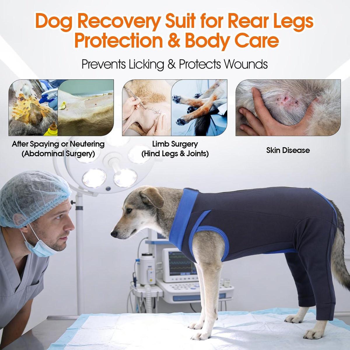 Dog wearing navy blue LeLePet recovery suit indoors