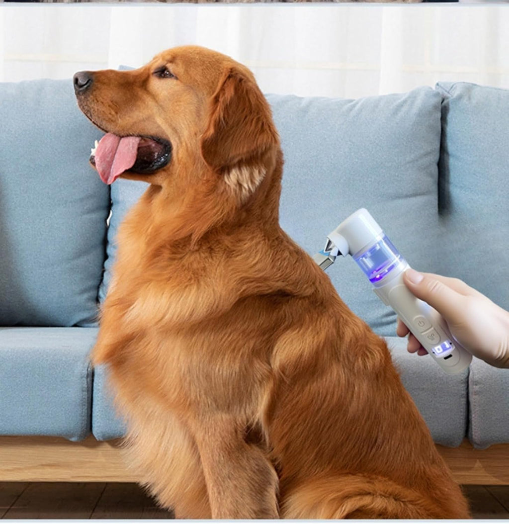 Electric flea comb for dogs and cats with transparent debris chamber