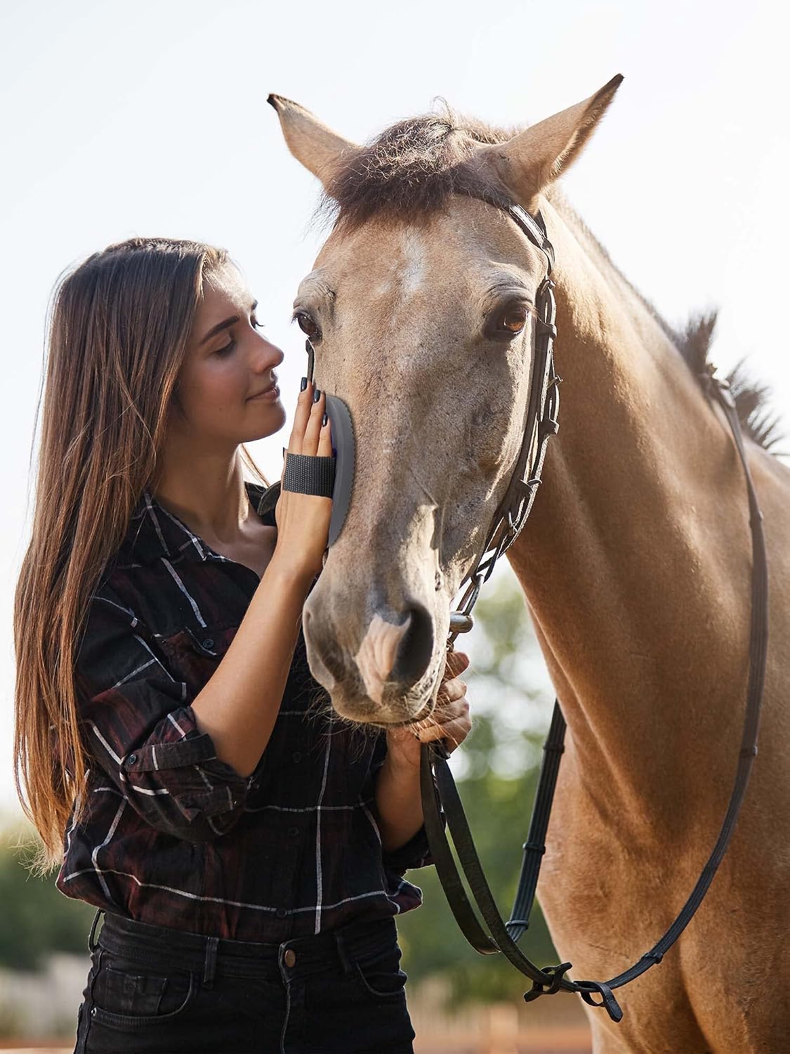 Full collection of Ueemph horse care accessories organized