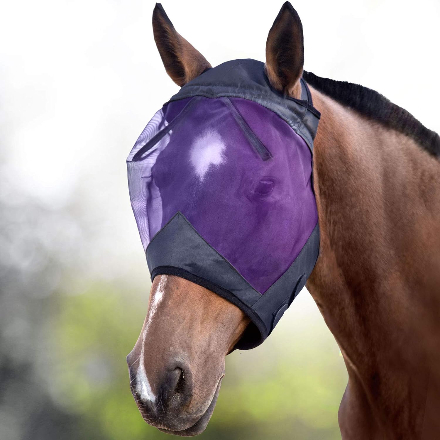 Small pony size Harrison Howard fly mask black
