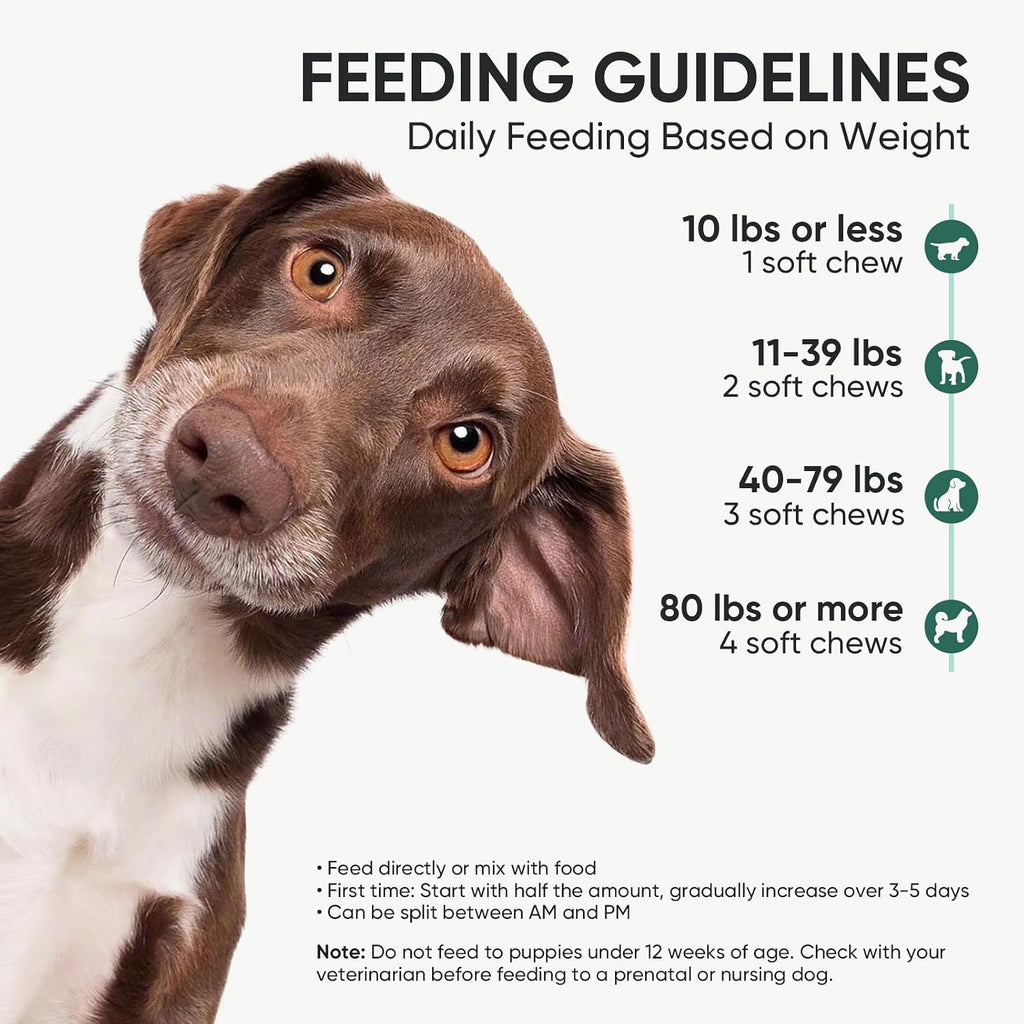 Back label of TzzyiC dog probiotics detailing the ten billion CFU count and ingredients.