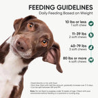Back label of TzzyiC dog probiotics detailing the ten billion CFU count and ingredients.