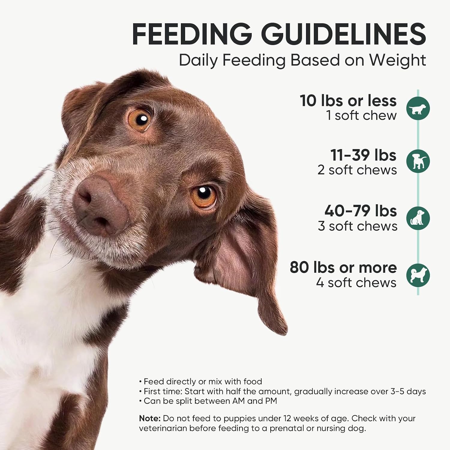 Back label of TzzyiC dog probiotics detailing the ten billion CFU count and ingredients.