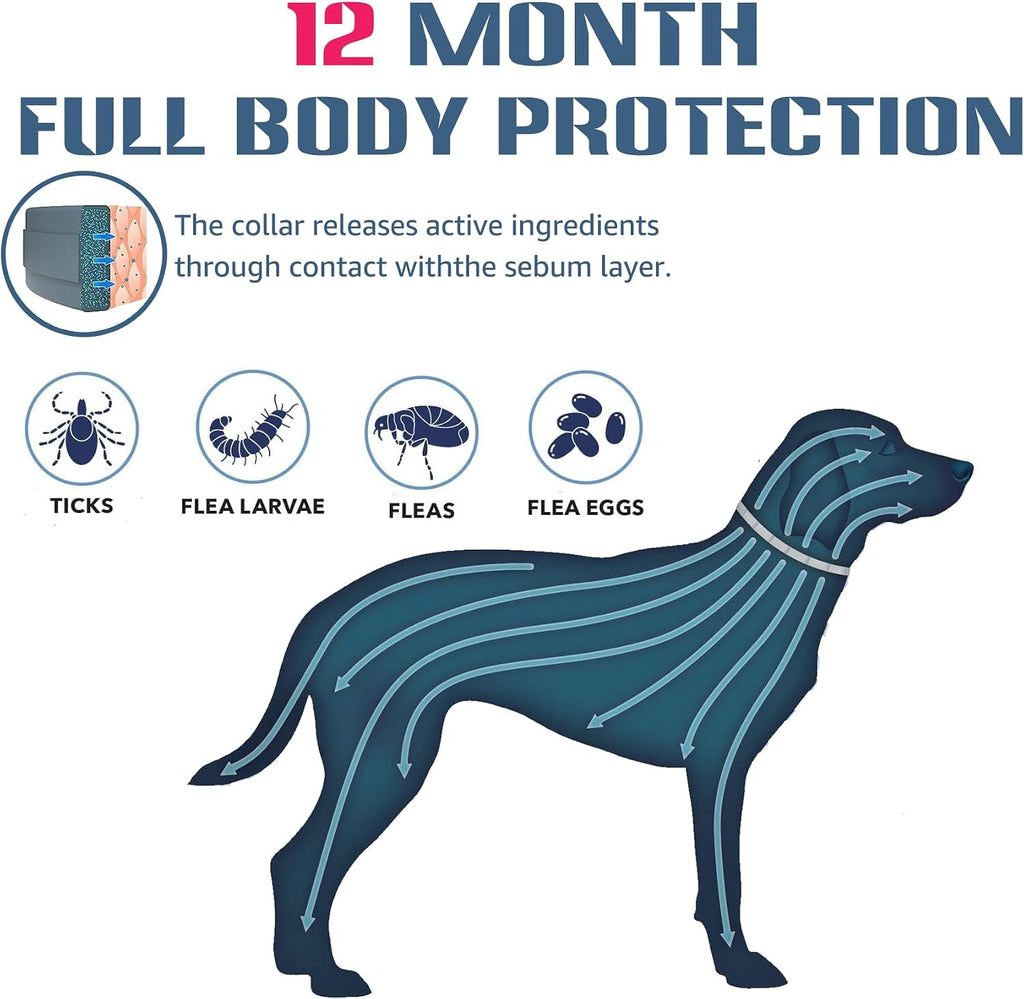 Two pack Hitpest natural flea collars for large dogs