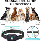 Complete imported wireless dog boundary kit package including remote transmitter and two collars.