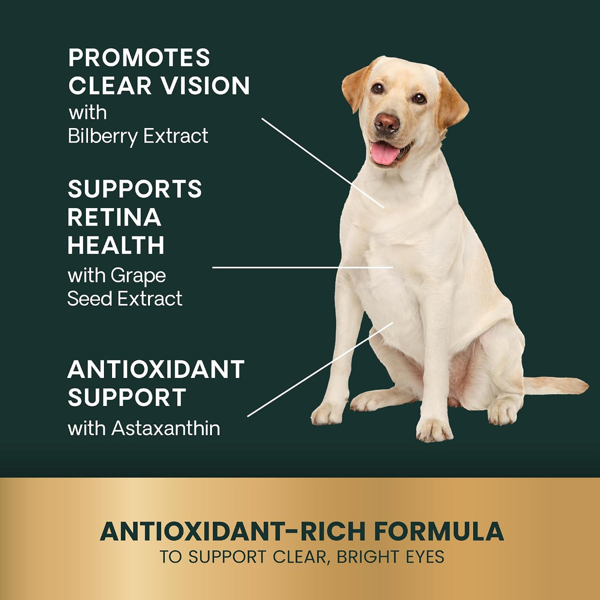 Premium USA imported dog vision health supplement close up