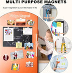 A grid of 100 pieces of mini round magnets showcasing the complete professional salon pack.